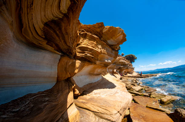 belle formation rocheuse sur la plage de l’île de tasmanie en australie - australian culture sea coastline rock formation photos et images de collection