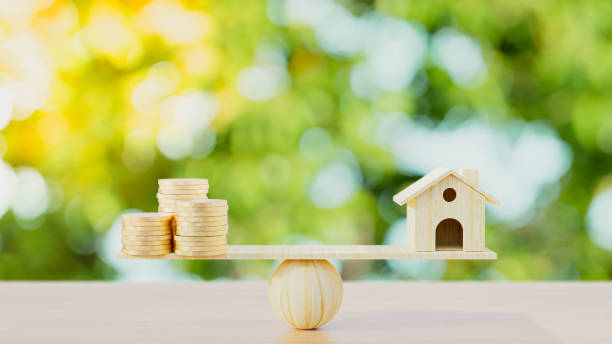 istock 3d render illustration. House and euro coins on a Natural background. 1335795080