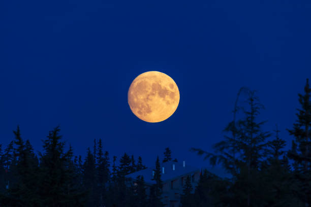 luna llena que se eleva sobre el monte washington - mt washington fotografías e imágenes de stock