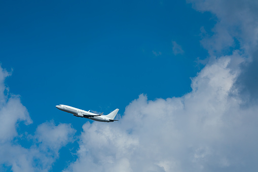 Airplane flying under blue sky and white cloud