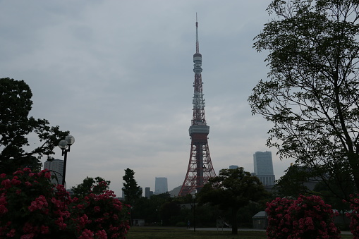 Tokyo Tower at Day and Night