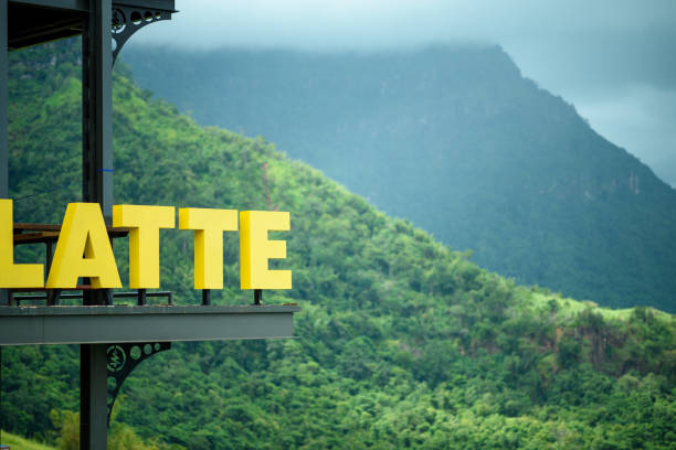 istock mountain view terrace in tropical forest 1335805531
