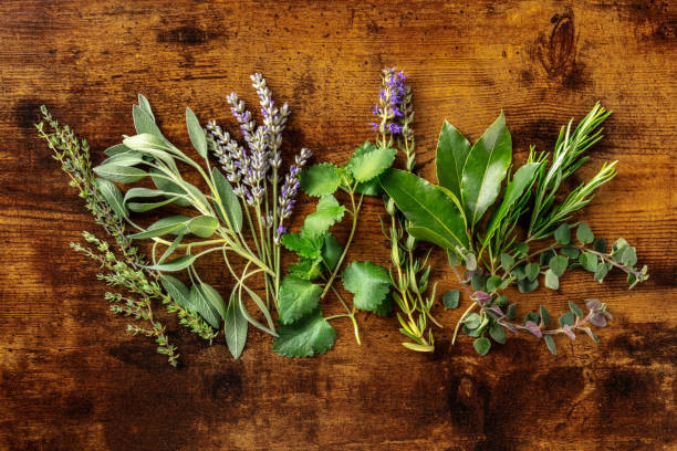 istock Fresh garden herbs, overhead flat lay shot on a rustic wooden background 1335812012