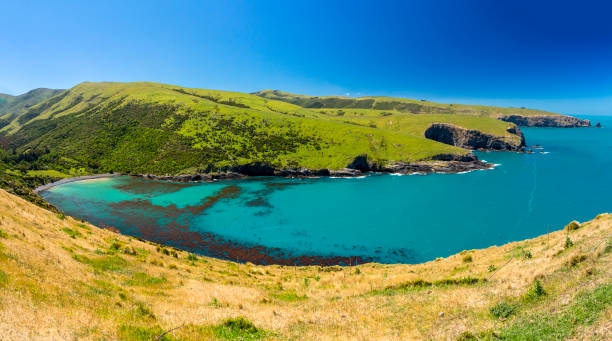 istock Banks Peninsula, New Zealand 1335812063