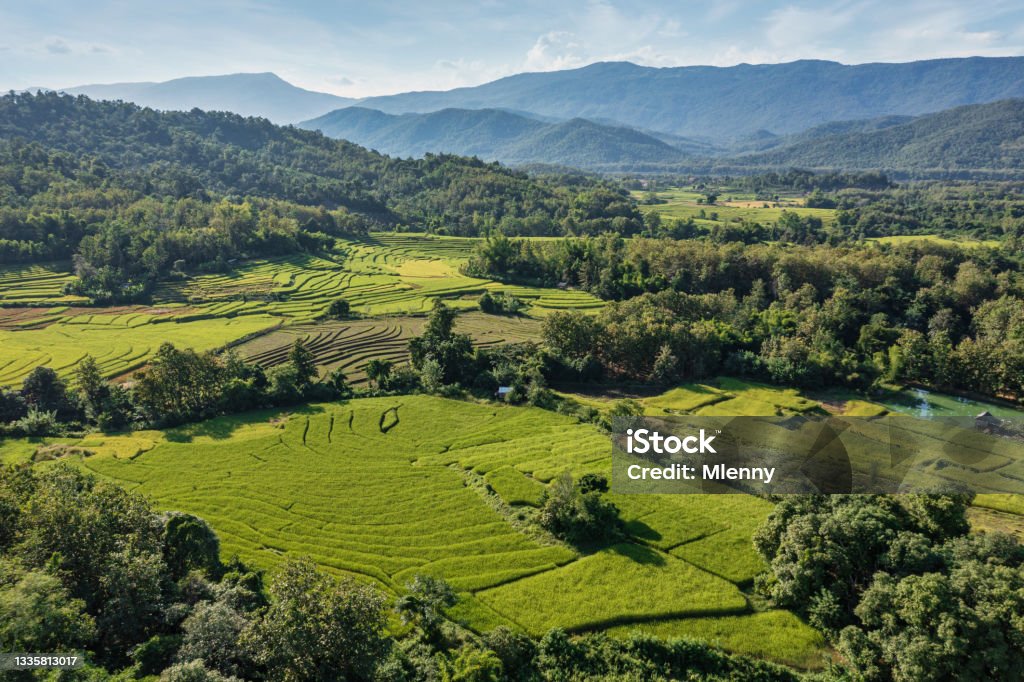 Laotian Rice Farming Laos Luang Prabang Rice Paddy Landscape Laotian Rice Farming. Laos Rice Terrace Fields Luang Prabang. Drone point of view of  agriculture Rice Terraced Fields between the green rolling landscape in the natural hill landscape of Laos. Drone Point of View. Luang Prabang Area, Laos, South-East Asia Laos Stock Photo