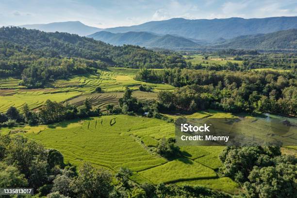 Laotian Rice Farming Laos Luang Prabang Rice Paddy Landscape Stock Photo - Download Image Now