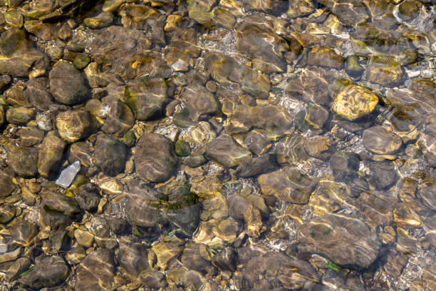 istock Pebbles under the water surface of a stream 1335815445
