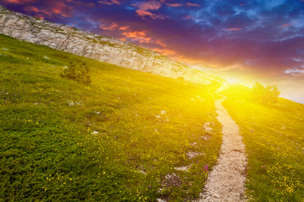 istock road across a mountain slope 1335819864