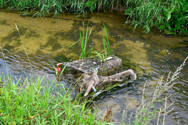 istock shopping cart in water with reed growing through it 1335820094