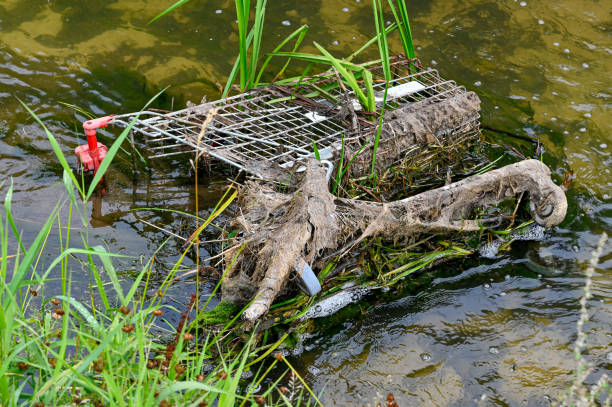 istock shopping cart in water with reed growing through it 1335820095