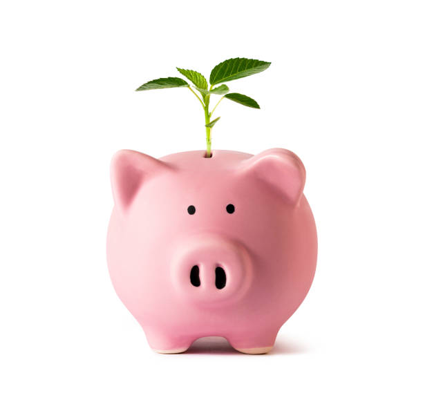 istock Sustainability and green business concept 1335820907
