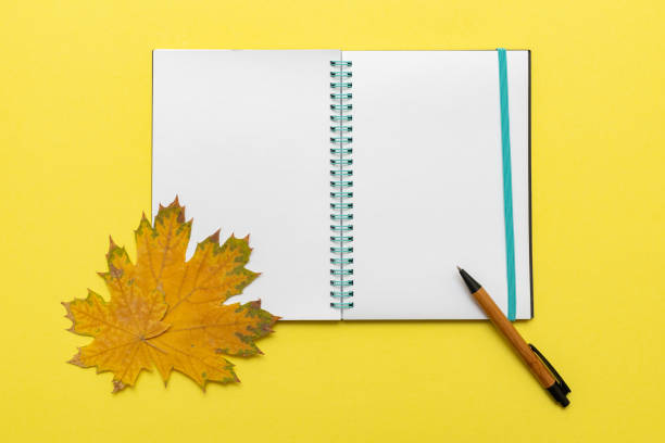 istock Open blank notebook, diary pen and maple leaves on a yellow background, close-up. 1335824056