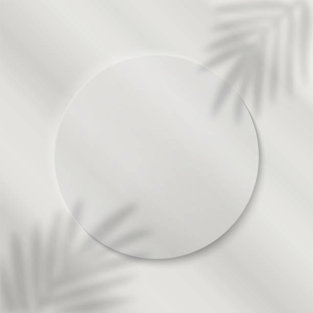 istock The shadows of the branches of a palm tree fall on a round frame (paper cut or podium) located on a gray gradient background. Minimalist botanical layout for banner, social media. 1335825538