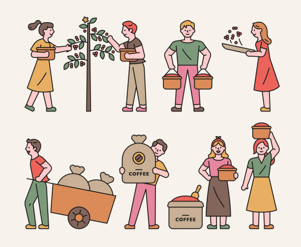 Quán Cà Phê Hình minh họa Sẵn có - Tải xuống Hình ảnh Ngay bây giờ - Cà phê - Đồ uống nóng, Nông dân, Người - iStock Quán Cà Phê Hình minh họa Sẵn có - Tải xuống Hình ảnh Ngay bây giờ - Cà phê - Đồ uống nóng, Nông dân, Người - iStock