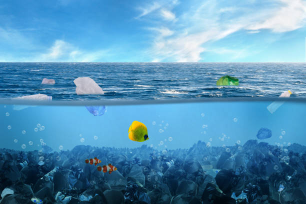 istock Plastic and garbage under sea water. Ocean polluted by plastic 1335827922