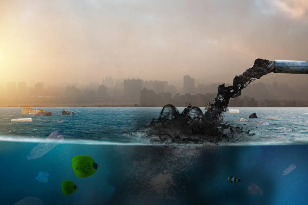istock Sewage from city polluted to ocean, 1335827945