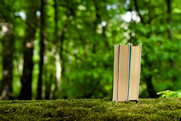 istock Old books standing on green moss in forest with trees in background. 1335830528