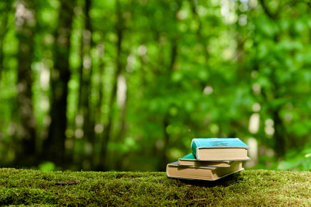 istock Old books lying on green moss in forest with trees in background. 1335830536