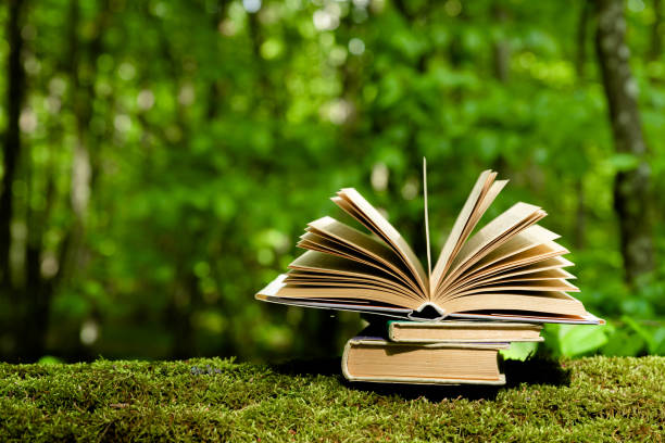 istock Old books lying on green moss in the forest with trees in the background 1335830541