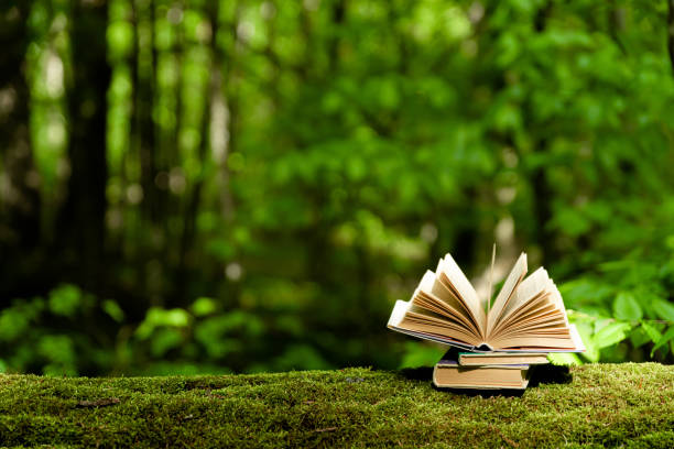 stare książki leżące na zielonym mchu w lesie z drzewami w tle - open teaching book wood zdjęcia i obrazy z banku zdjęć