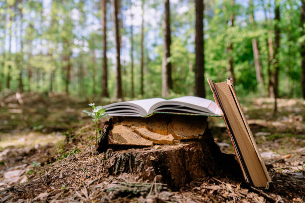 Books lying on tree stump with forest trees in background. Open book with pages. stock photo
