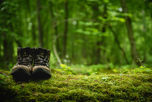 Close up of leather hiking boots on wood log covered with moss. Outdoor adventure concept
