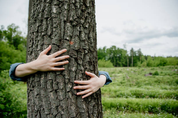 istock Woman hugging tree in forest, embracing tree trunk with both hands. 1335830620