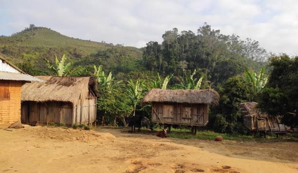 istock Residential buildings in Madagascar 1335833771
