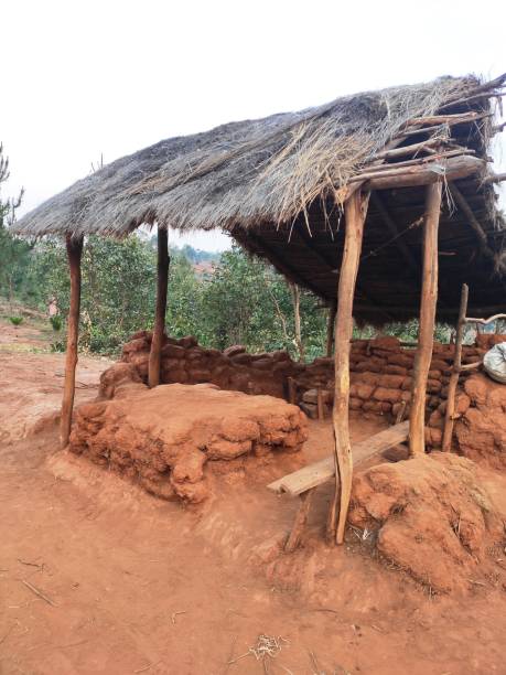 istock Residential buildings in Madagascar 1335833777