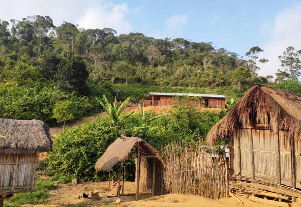 istock Residential buildings in Madagascar 1335833798