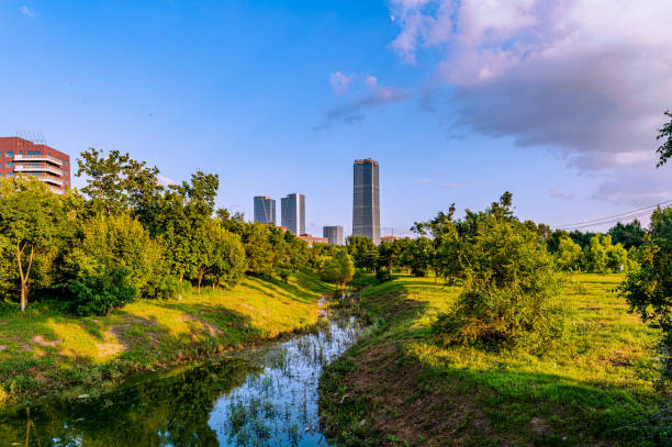istock Changchun, China: The scenery of Changchun Park in summer 1335835082