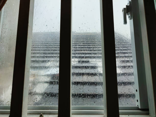 istock Raindrops on the window pane with iron trellis 1335836955