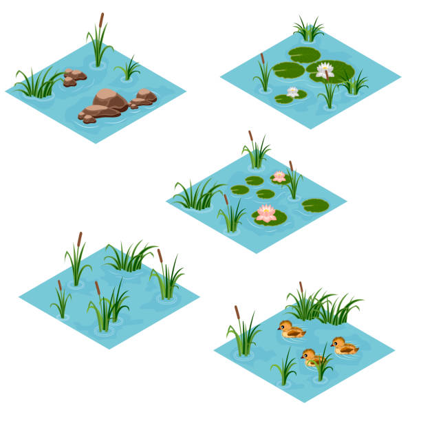 ilustraciones, imágenes clip art, dibujos animados e iconos de stock de conjunto de baldosas isométricas del paisaje del lago, cartoon o activo de juego - pájaro azulejo