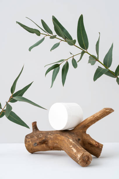 istock Plastic container on wooden podium and eucalyptus branch on grey background. Natural cosmetic product mockup. White jar on snag and green leaves. Modern spa and beauty concept. Front view composition 1335838075