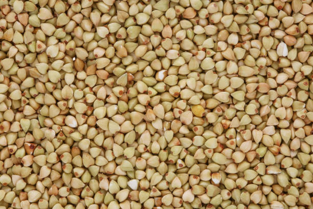 istock Group of sorghum rice 1335843450