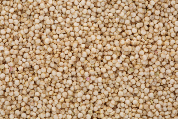 quinoa background stock photo
