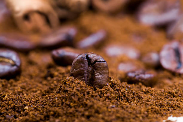 istock aromatic coffee beans with ground coffee powder 1335844535