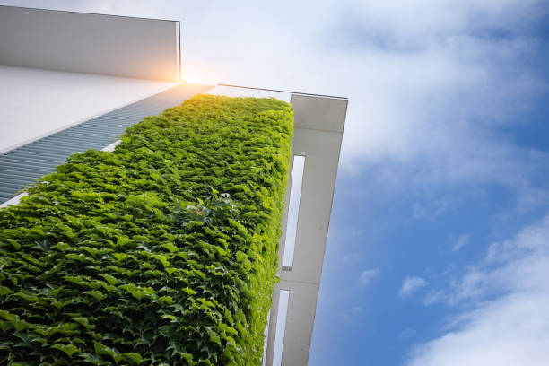 istock Vertikal Garden – green plants on wall 1335844918