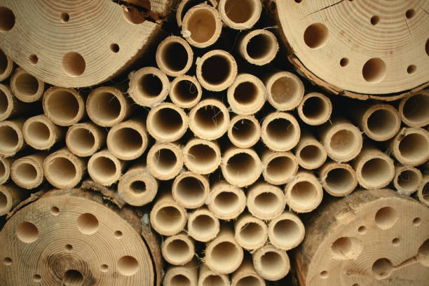 istock Close up of a Bamboo bee house. 1335845876