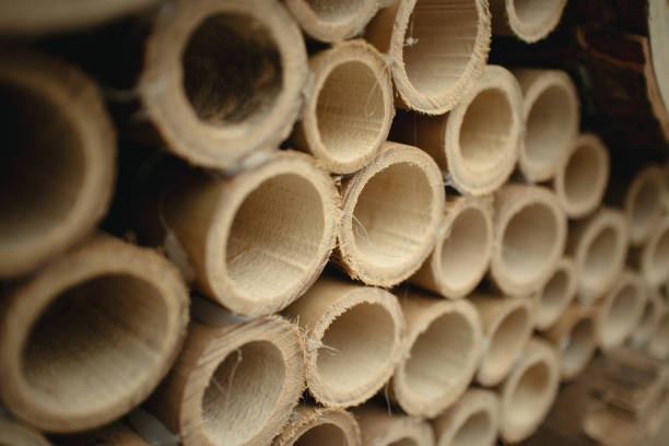 istock Close up of a Bamboo bee house. 1335846011