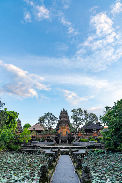 istock Path leading to the Saraswati temple in Ubud 1335850497