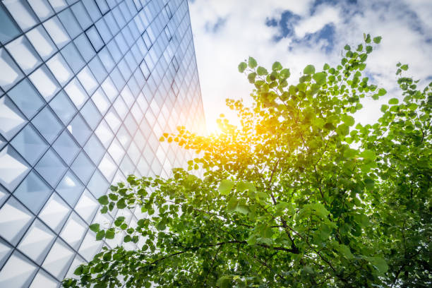 arquitetura de edifício verde - green building - fotografias e filmes do acervo