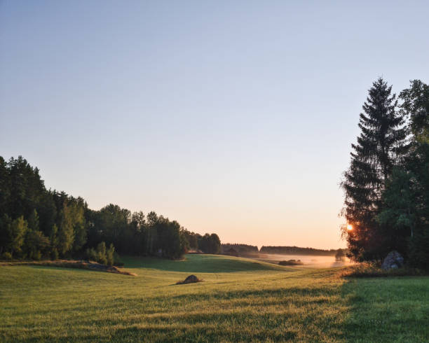 istock Sunset over meadow in sweden 1335855681