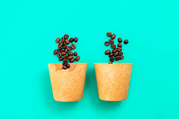 飲んだ後に食べられるエココーヒーカップ2杯、ワッフル製、緑の背景にコーヒー豆。ゼロ廃棄物概念 - tulipe cup ストックフォトと画像