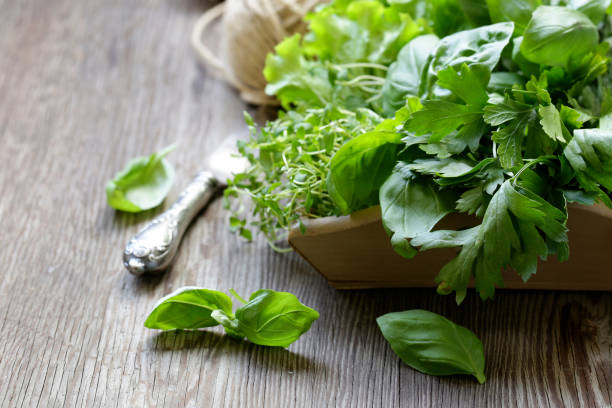 istock still life organic fragrant herbs 1335858745