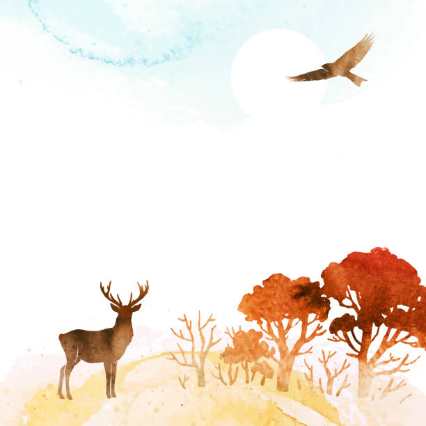 istock Vector watercolor nature template. Hand drawn frame with deer, bird, forest and place for text or illustration. Watercolor autumn landscape 1335860369