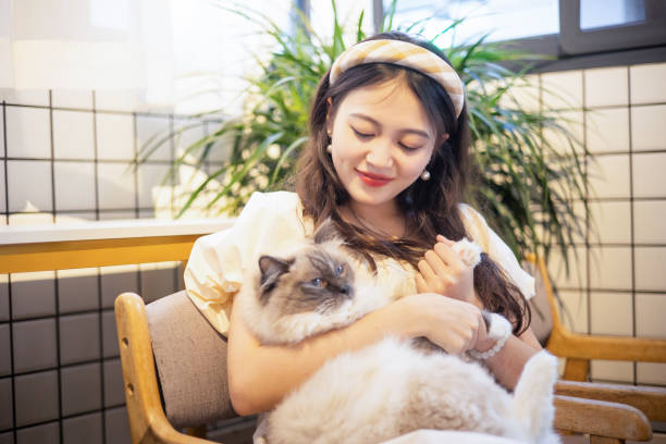 istock Young women holding cat at home 1335861124