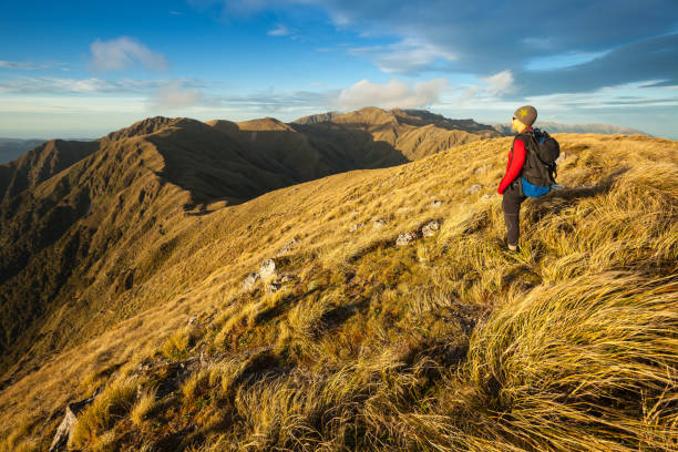 istock Tramper on the Southern Crossing, Tararua Forest Park 1335861450