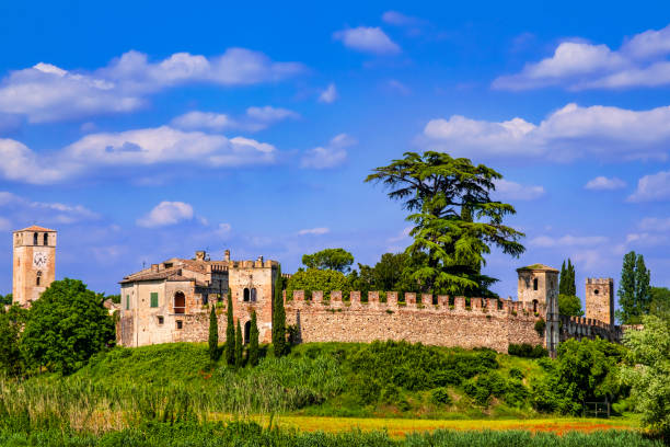 A solitary, tall green Italian cypress tree stands against a dramatic, bright blue sky filled with large, fluffy white cumulus clouds on a sunny day.
