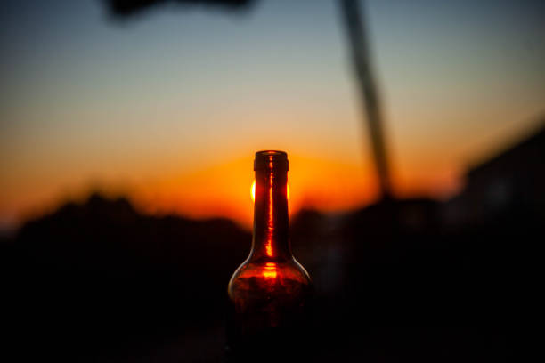 istock Bottle of red wine with the sunset 1335865513